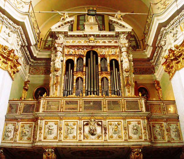 organo